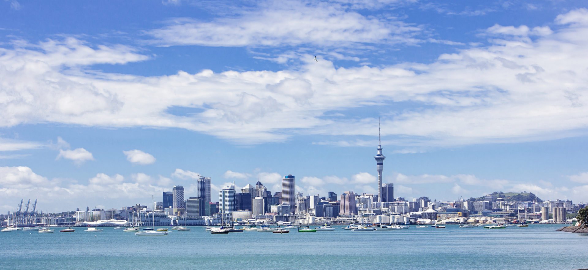 Auckland Orthodontist – What to look for